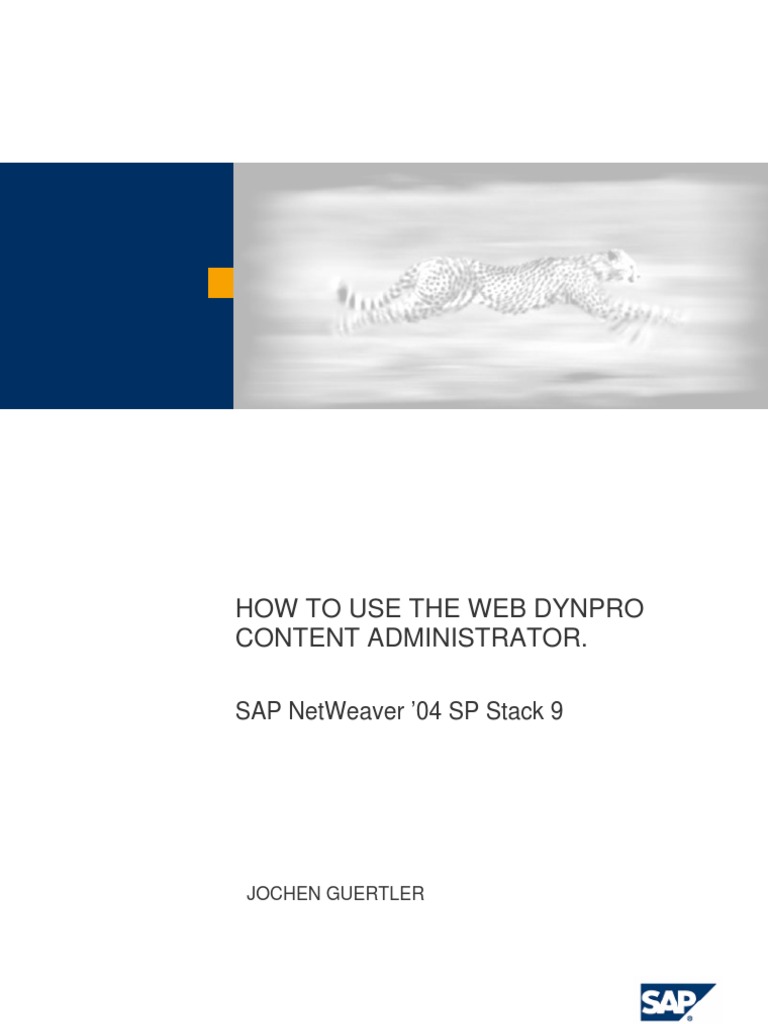 Web Dynpro Content Administrator Guide | PDF
