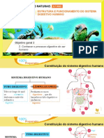 100% Preparado - Estrutura e Funcionamento Do Sistema Digestivo Humano