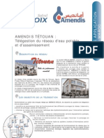 DA Amendis FR 2005 03