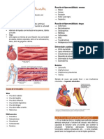 Clase Insuficiencia Cardiaca