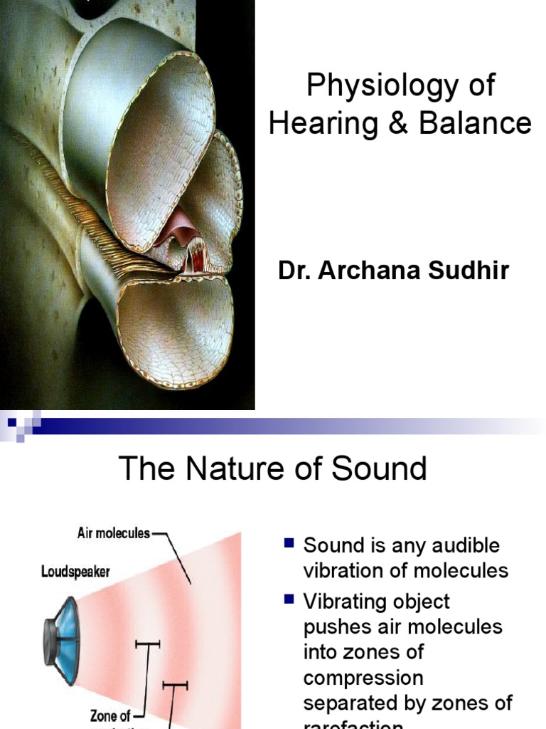 Physiology of Hearing & Balance Biology Diagrams