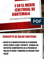 Salud Intercultural
