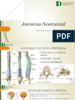 Anestesia Neuroaxial TECNICOS 2020 Grabada