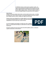 Juegos de Patio PDF