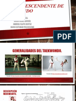 Taekwondo Patada Descendente