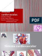 Sistema Cardiovascular 2021