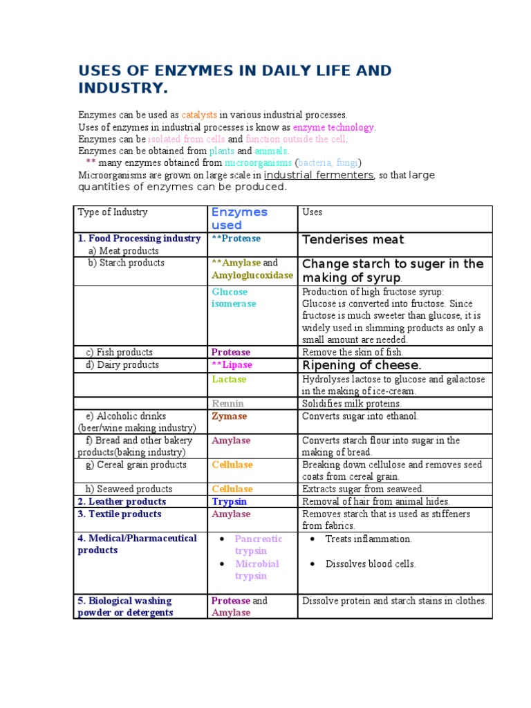 Uses of Enzymes in Daily Life and Industry