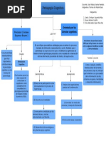 Mapa Conceptual Pedagogía Cognitiva