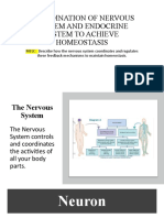 Coordination of Nervous System and Endocrine System To Achieve Homeostasis