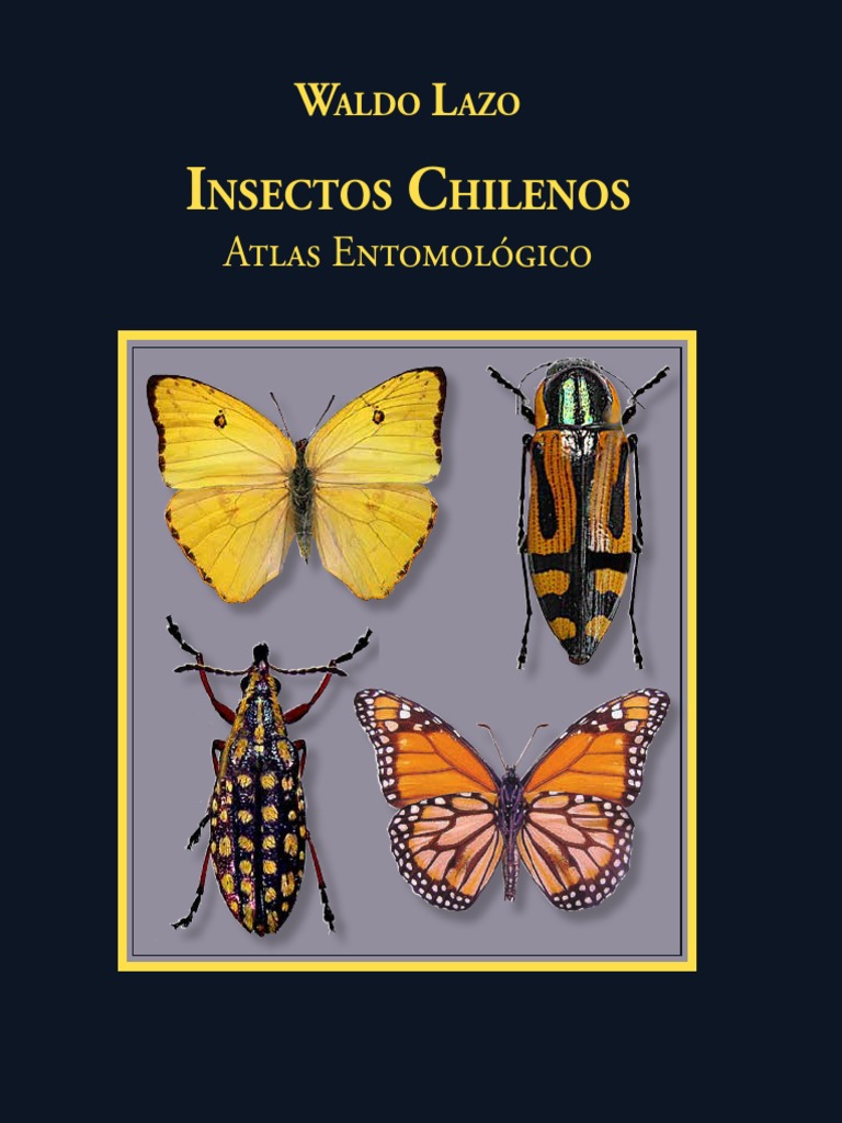Insectos Chilenos (2013) | PDF | Insectos | Ddt