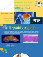 Hepatitis Aguda y Cronica - Grupo# 8 Sexto Semestre