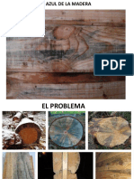 Mancha azul madera: causas, dispersión e impacto