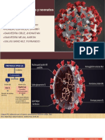 COVID Fisiopatologia