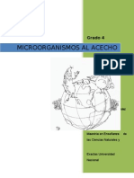 Guía Microorganismos Al Acecho 4°