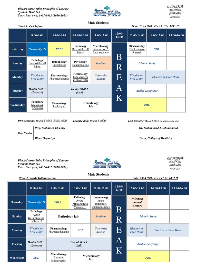 B R E A K: Ma Ale Students | PDF