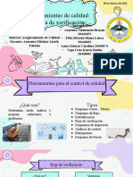 Hoja de Verificación