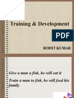 Training & Development