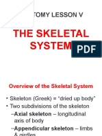 ANATOMY LESSON 5 Skeletal System SUMMARIZED