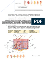 LAB_EXERCISE5_INTEGUMENTARY_SYSTEM_c_Silvero