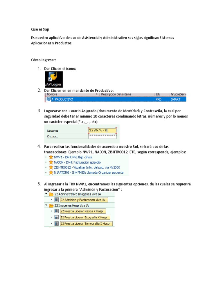 Que es Sap Ingreso, entorno puesto de trabajodocx | PDF 