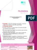 Filogenia Clase 8