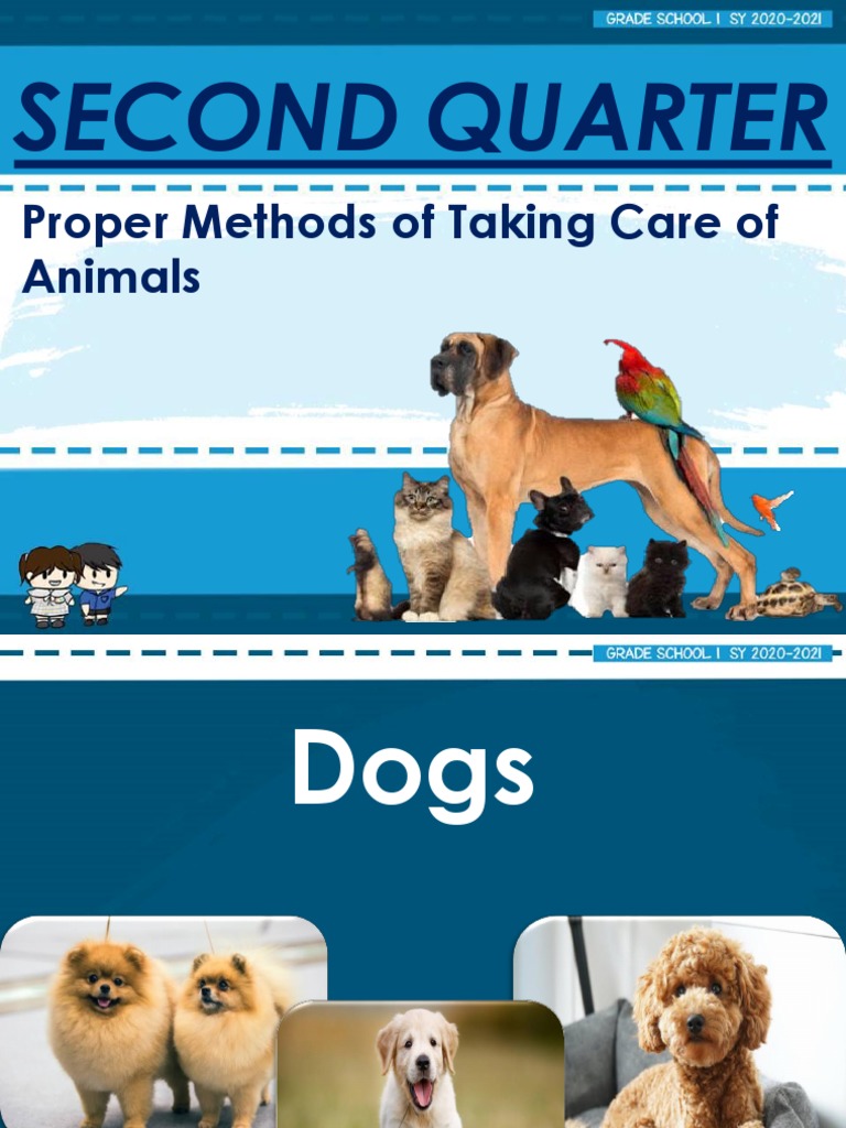 Second Quarter: Proper Methods of Taking Care of Animals | PDF