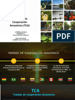 Exposicion de Tratado de Cooperacion Amazonica