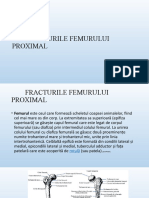 Fr Femur Proximal