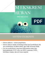 Sistem Ekskresi Hewan - Fix