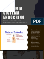 Anatomia Sistema Endocrino