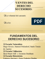 Libro Derecho-De-Sucesiones-Dra.-Vigil-Curo