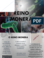 Reino Monera Bacterias 