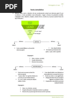 Download Apontamentos Portugus 1 - 10 Ano by Beatriz SN56529259 doc pdf