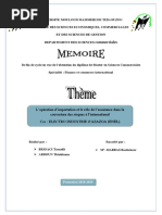 Mémoire Version PDF