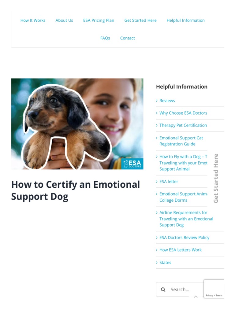 How To Certify An Emotional Support Dog ESA Doctors PDF Dogs