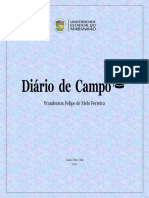 Diário de Campo - Estágio Curricular Obrigatório (1)