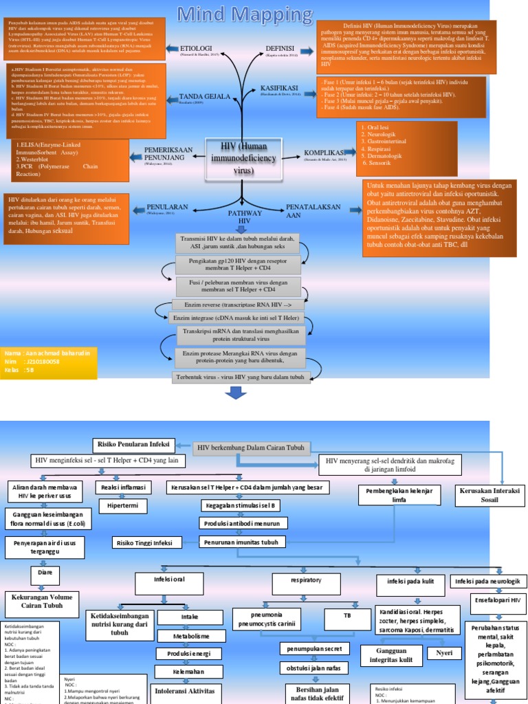 Mind Mapping Hiv | PDF