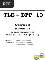 Tle BPP10-Q3-M13