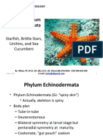BIO 111 - LECTURE - Phylum ECHINODERMATA
