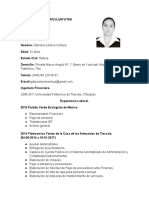 Curriculum Vitae Gabriela