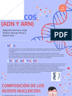 Ácidos Nucleicos (Adn y Arn) M