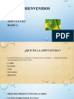 Introducción a la apicultura: Todo sobre la cría de abejas y la producción de miel