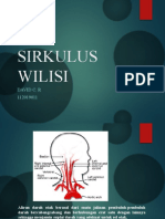 Sirkulus Wilisi: David C. R 112019011