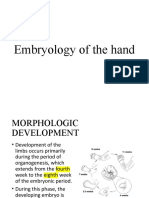 Embryology of the hand development