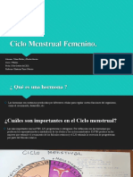 Ciclo Menstrual Femenino - Yohao- Martin