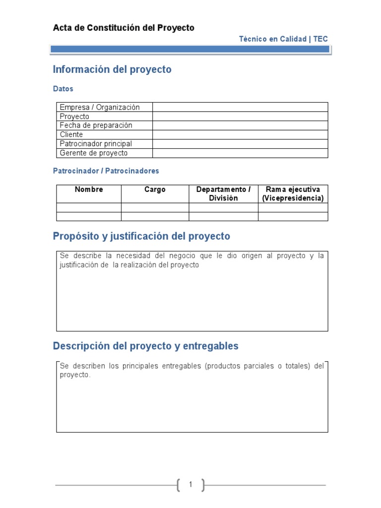 Plantilla para Acta de Constitución de Proyecto | PDF | Presupuesto ...