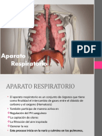 Aparato respiratorio: estructuras y funciones