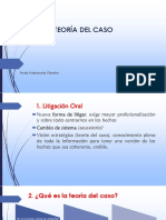 FVY, Teoría Del Caso. Fáctica, Jurídica y Probatoria