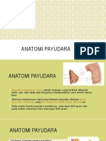 3) Anatomi Dan Fisiologi Payudara