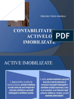 Active Imobilizate